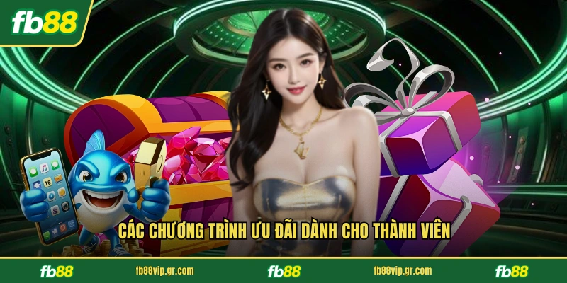 Các chương trình ưu đãi dành cho thành viên