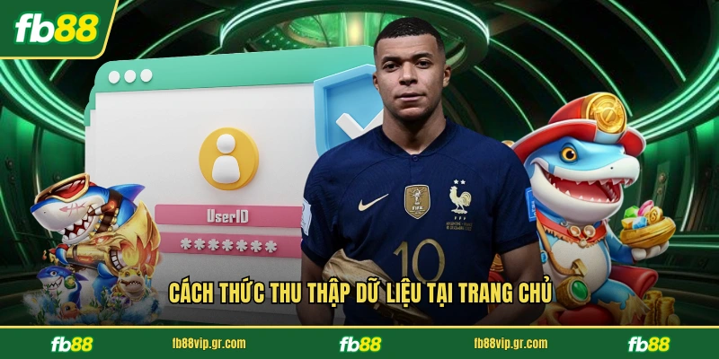 Cách thức thu thập dữ liệu tại trang chủ