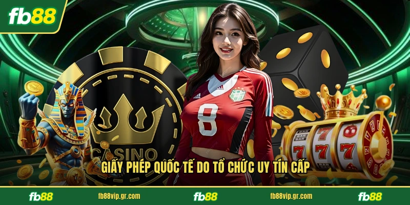Giấy phép quốc tế do tổ chức uy tín cấp