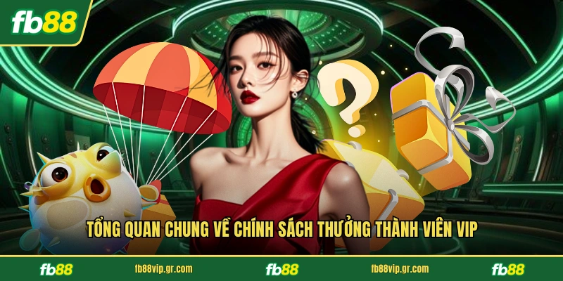 Tổng quan chung về chính sách thưởng thành viên VIP